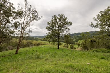 Property 141 Khatambuhl Creek Road, Mount George NSW 2424 IMAGE 0