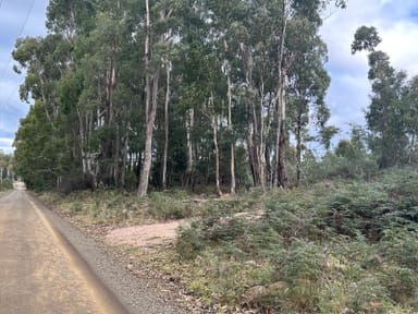 Property Lot 2 Wadleys Road, Reedy Marsh TAS 7304 IMAGE 0