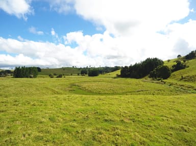 Property Tarzali QLD 4885 IMAGE 0