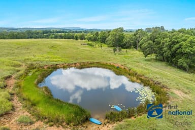 Property 8161 Bruxner Highway, Tabulam NSW 2469 IMAGE 0