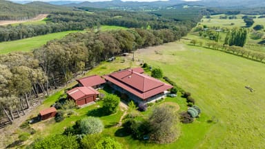 Property 1596 Four Mile Lane, LITTLE BILLABONG NSW 2644 IMAGE 0