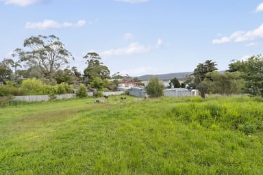 Property 19 Esplanade East, Triabunna TAS 7190 IMAGE 0