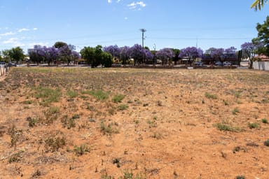 Property Section 48 Bookpurnong Terrace, Loxton SA 5333 IMAGE 0