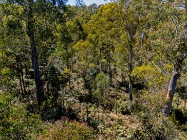 Property 420 Lyell Highway, OUSE TAS 7140 IMAGE 0