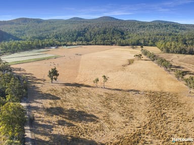 Property Lot 2, Rosedale Road, BICHENO TAS 7215 IMAGE 0