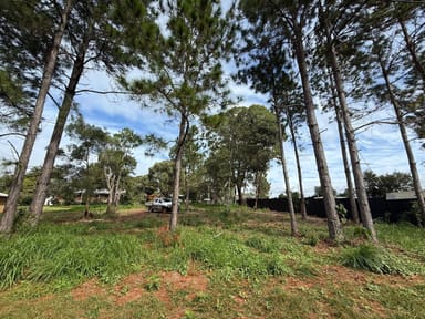 Property 19 Lemontree Drive, Macleay Island QLD 4184 IMAGE 0