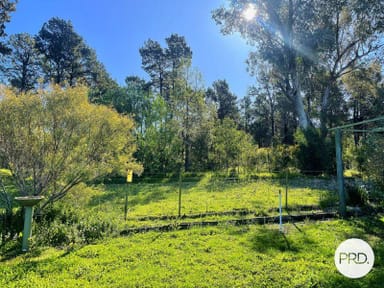 Property Lot 153 Cooper Street, Eugowra NSW 2806 IMAGE 0