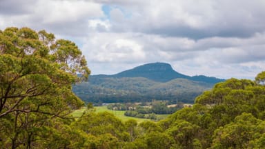 Property 182 Browns Creek Road, Bridges QLD 4561 IMAGE 0