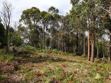 Property 756 Dam Road, SALTWATER RIVER TAS 7186 IMAGE 0