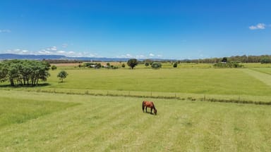 Property 98 Orchard Road, Loch Lomond QLD 4370 IMAGE 0