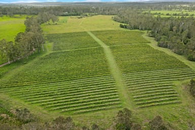 Property Lot 126 Blowers Road, Munna Creek QLD 4570 IMAGE 0