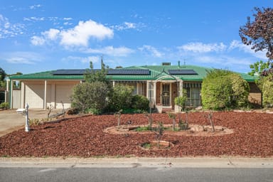 Property 20 Holness Avenue, Gawler East SA 5118 IMAGE 0