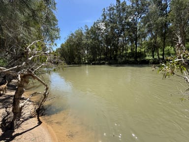 Property 237 Chisari Road, MUTCHILBA QLD 4872 IMAGE 0