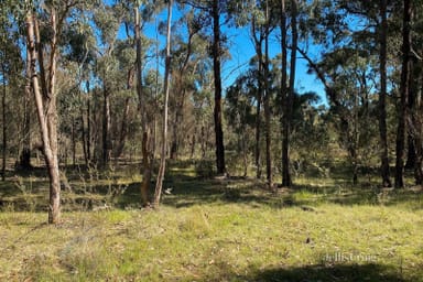 Property CA2C Possum Gully Road, Snake Valley VIC 3351 IMAGE 0