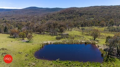 Property 74 Galvins Creek Road, FORBES CREEK NSW 2621 IMAGE 0