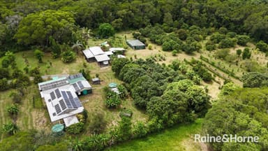 Property 112 George Road, Forest Creek, DAINTREE QLD 4873 IMAGE 0