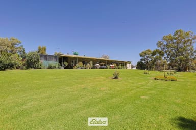 Property 490 Low Darling Road, Pomona NSW 2648 IMAGE 0