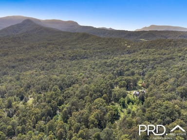 Property 251 Davis Road, GREEN PIGEON NSW 2474 IMAGE 0