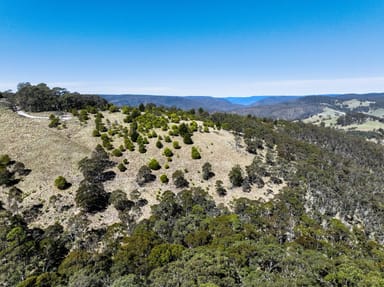 Property Lot, 129 Sheepstation Forest Road, OBERON NSW 2787 IMAGE 0