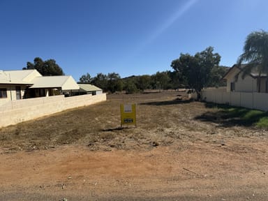 Property 3275 Chapman Valley Road, Nabawa WA 6532 IMAGE 0