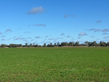 Property ( Davit Farm ) Cashmere Road, WIDGELLI NSW 2680 IMAGE 0