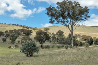 Property Lot 2 588 Nanima Road, Springrange NSW 2618 IMAGE 0