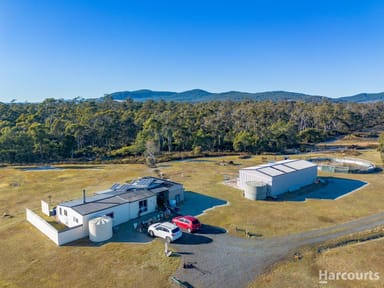 Property 354 Dalrymple Road, MOUNT DIRECTION TAS 7252 IMAGE 0