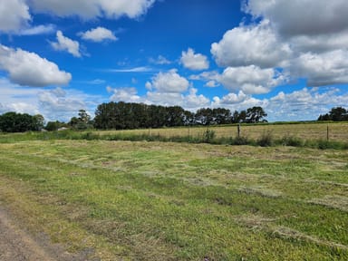 Property Lot 480 Howard Road, The Hermitage QLD 4370 IMAGE 0