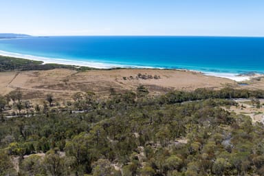 Property 18127 Tasman Highway, Bicheno TAS 7215 IMAGE 0