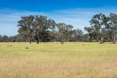 Property CA29A Baddaginnie-Benalla Road, Baddaginnie VIC 3670 IMAGE 0