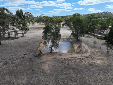 Property Lot 1 Langley Lane, MCINTYRE VIC 3472 IMAGE 0