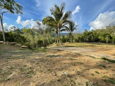 Property 84 Patullo Road, GREGORY RIVER QLD 4800 IMAGE 0