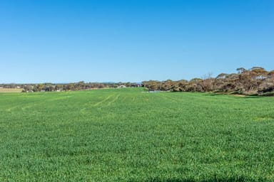 Property 720 Bowhill Road, Burdett SA 5253 IMAGE 0