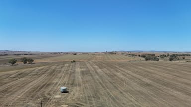 Property 'Ryans' Archie Road, Murray Town SA 5481 IMAGE 0
