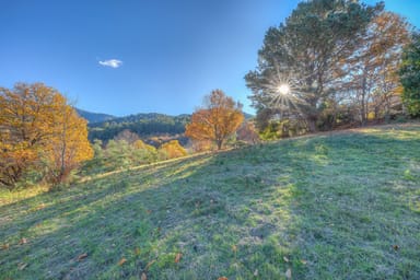 Property 198 Simmonds Creek Road, Tawonga South VIC 3698 IMAGE 0