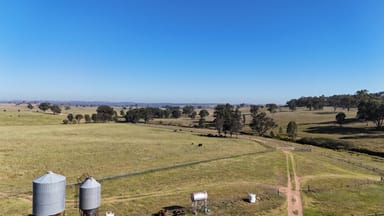 Property 325 Toorawandi Road, Ulamambri NSW 2357 IMAGE 0