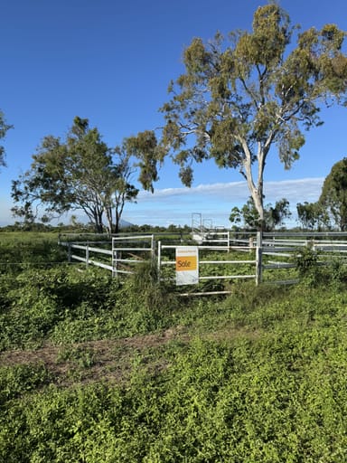 Property MULTIPLE LOTS Cape Creek Road, GUMLU QLD 4805 IMAGE 0