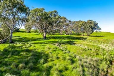 Property Lot 1044 Salt Creek Road, Yankalilla SA 5203 IMAGE 0