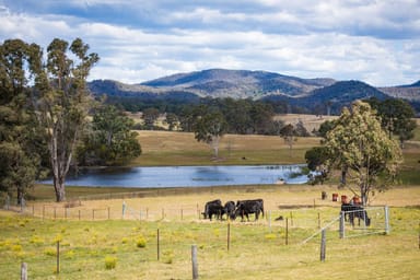 Property 73 Cherry Lane, Wolumla NSW 2550 IMAGE 0