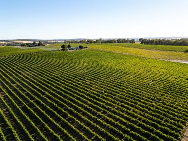 Property Yarrabee 1270 Wingebellup Road, Frankland River WA 6396 IMAGE 0