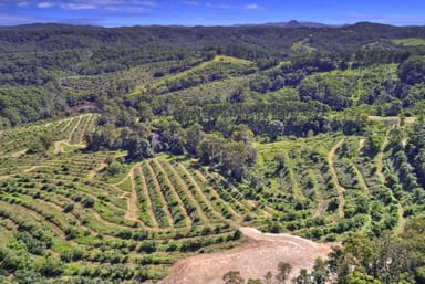 Property 224 Top Forestry Road, Ridgewood QLD 4563 IMAGE 0