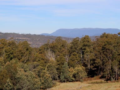 Property 78 Grahams Road, Black Hills Tas 7140 IMAGE 0