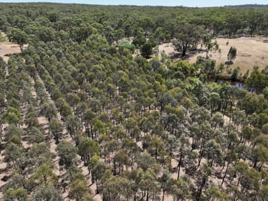 Property Lot 1 Carapooee Road, St Arnaud East VIC 3477 IMAGE 0