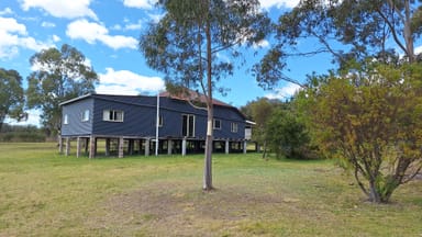 Property 121 Jollys Fall Road, The Summit QLD 4377 IMAGE 0