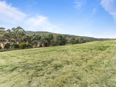 Property 1103 Nook Road, Acacia Hills TAS 7306 IMAGE 0