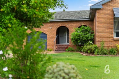 Property 8 Curtis Street, Singleton NSW 2330 IMAGE 0