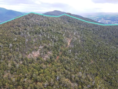 Property Lot 1 Halls Track Road, PELVERATA TAS 7150 IMAGE 0