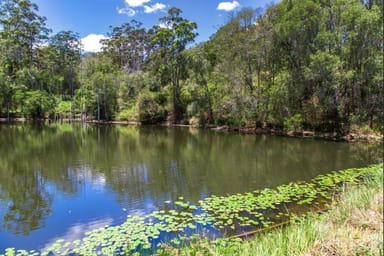 Property 136 Top Forestry Road, Ridgewood QLD 4563 IMAGE 0