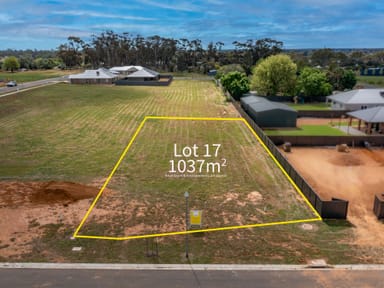 Property Lot 17 6 Vintage Drive, WAHGUNYAH VIC 3687 IMAGE 0