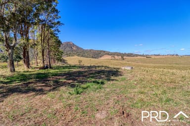 Property Lot 27, 46 Lynches Creek Road, WIANGAREE NSW 2474 IMAGE 0